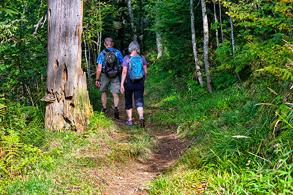 Rund um St. Peter gibt es zahlreiche Wanderrouten