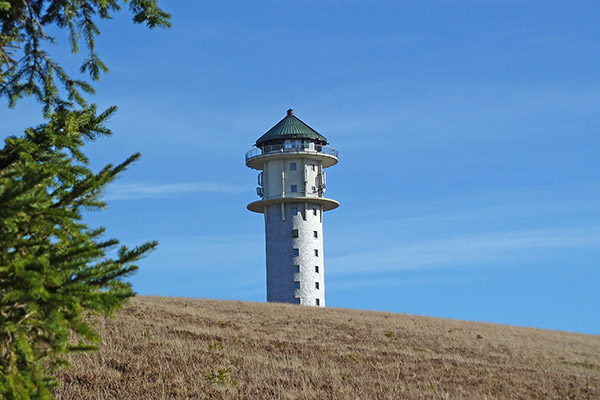 Feldberg