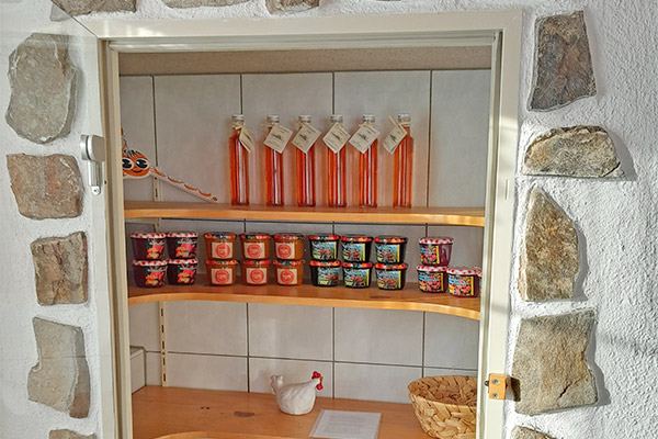 Naturkühlschrank mit regionalen Produkten