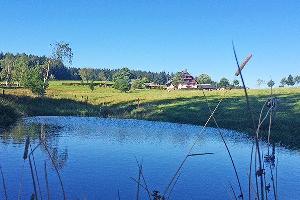 Der Gschwinghof im Naturpark Südschwarzwald