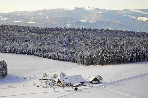 Der Gschwinghof mit dem Feldberg im Hintergrund