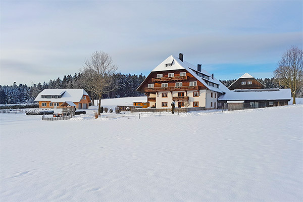 Der Gschwinghof im Winter