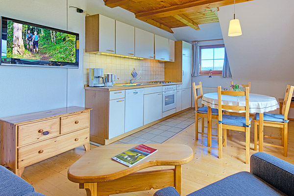 Wohn- und Esszimmer mit Küchenzeile